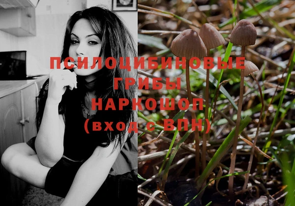 кокс Алзамай
