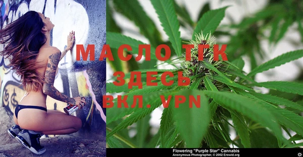 молекула духа Алексеевка