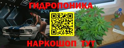 Альфа ПВП Гатчина