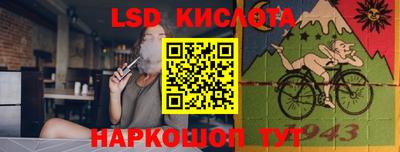 Альфа ПВП Гатчина