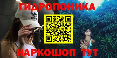 Альфа ПВП Гатчина