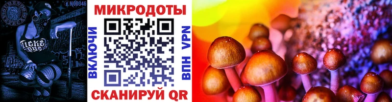 Псилоцибиновые грибы Psilocybine cubensis  купить наркотик  Мытищи 