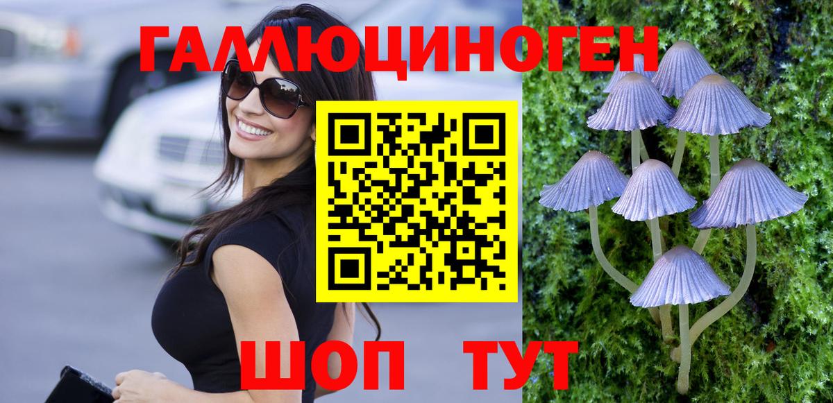 Псилоцибиновые грибы GOLDEN TEACHER Мытищи