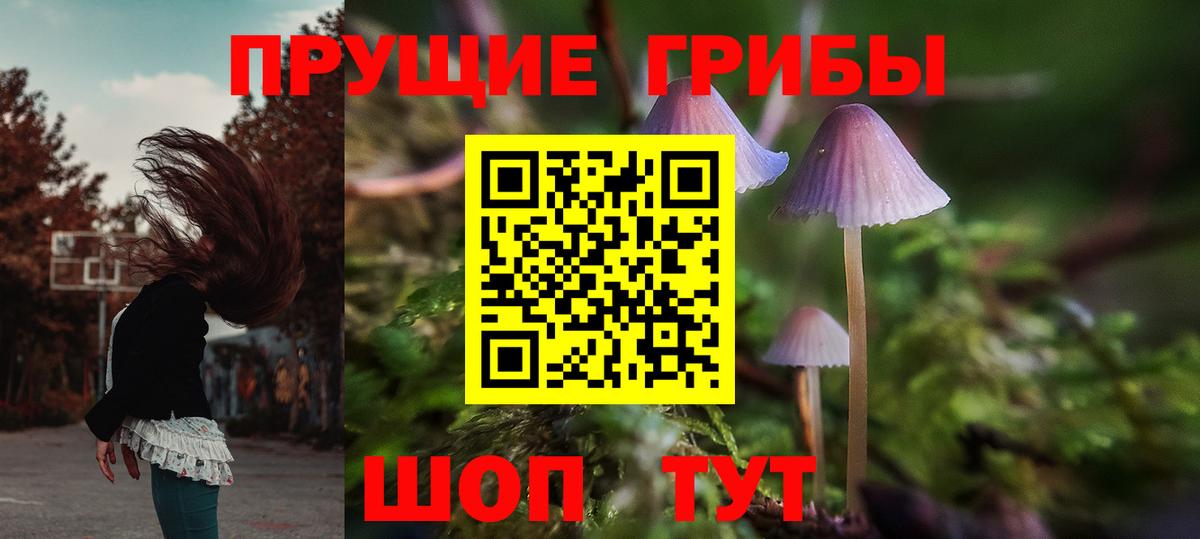 Псилоцибиновые грибы MAGIC MUSHROOMS  Вход с VPN  Мытищи 